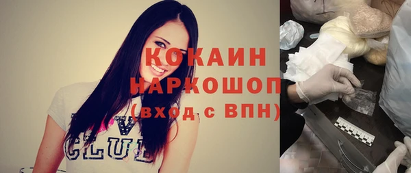 сатива Вязьма