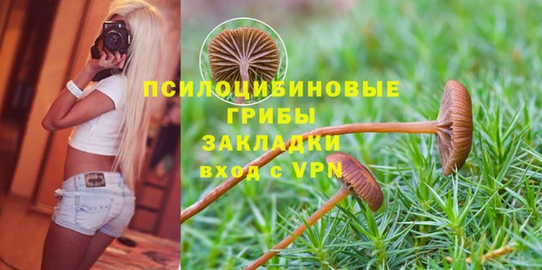 PSILOCYBIN Володарск