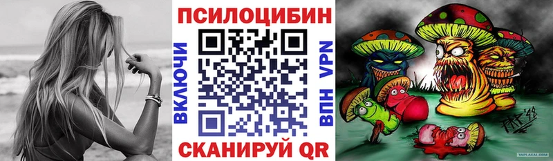 Галлюциногенные грибы Psilocybine cubensis  что такое наркотик  shop как зайти  Жердевка 
